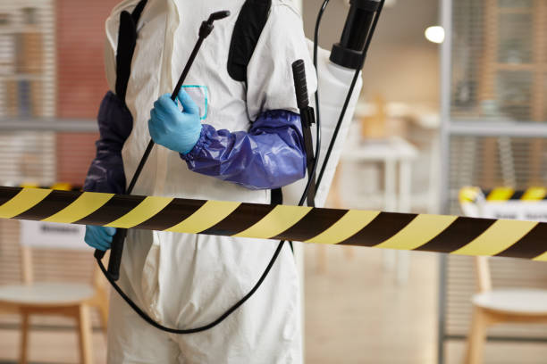 Professional Sewage Cleanup technician working in Montauk, NY